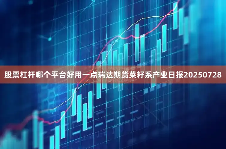 股票杠杆哪个平台好用一点瑞达期货菜籽系产业日报20250728