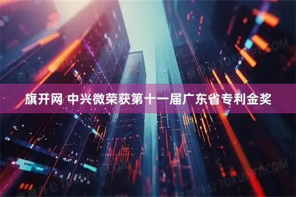 旗开网 中兴微荣获第十一届广东省专利金奖