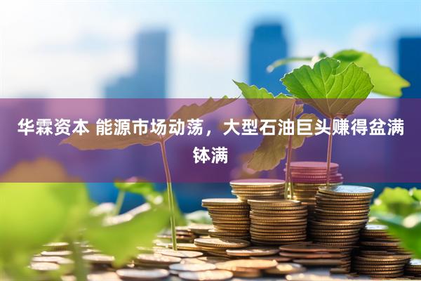 华霖资本 能源市场动荡，大型石油巨头赚得盆满钵满