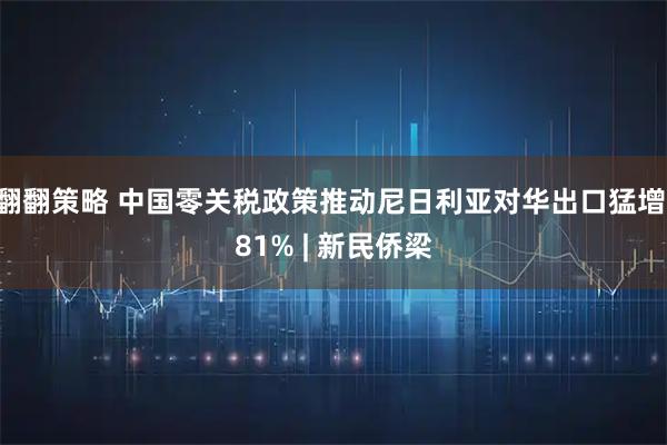 翻翻策略 中国零关税政策推动尼日利亚对华出口猛增 81% | 新民侨梁